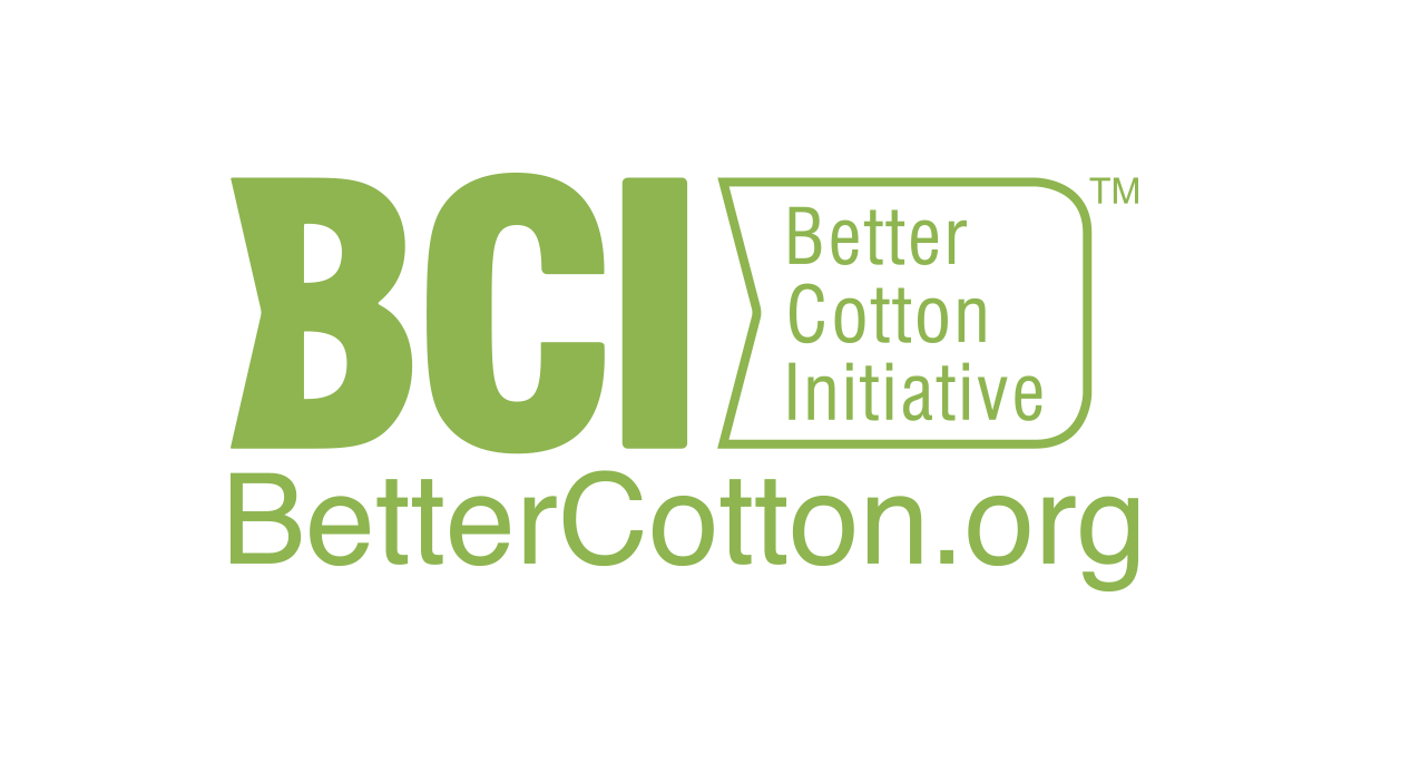 BCI logo verde
