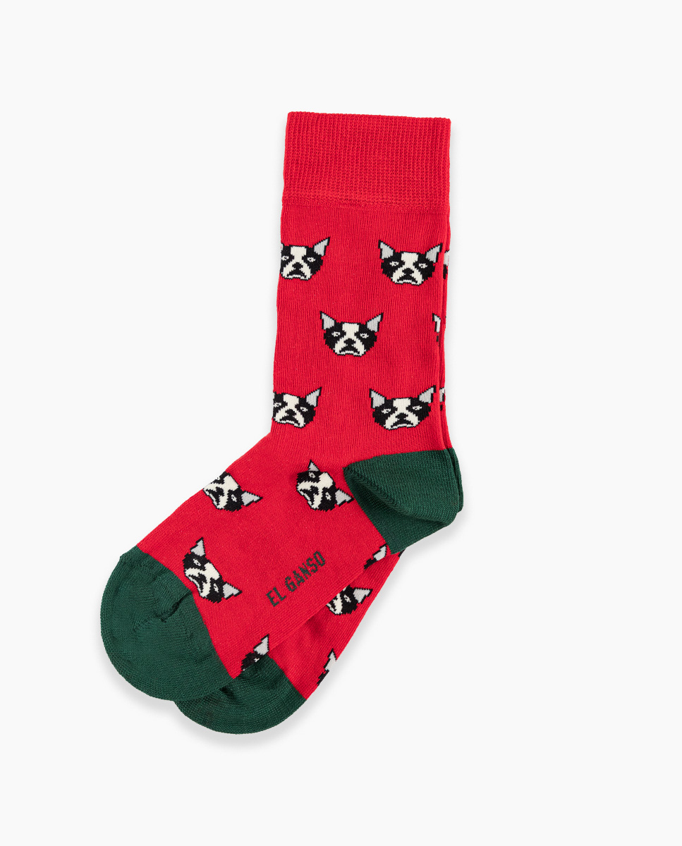Chaussette Coton Rouge Figuratif Chien Enfant
