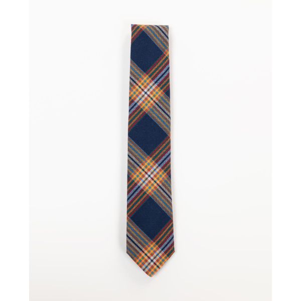 Corbata Cuadro Multicolor Azul