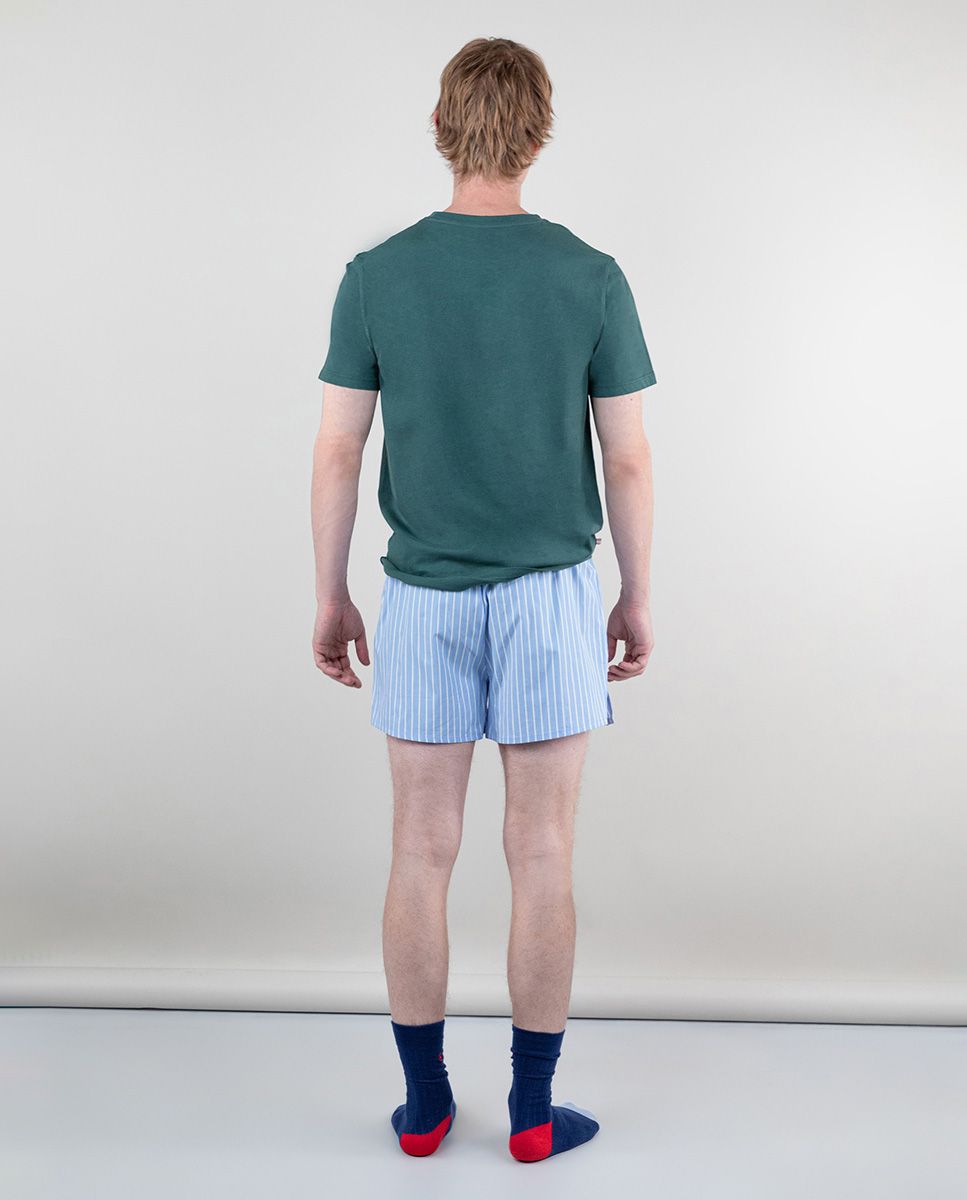 Pack of Underwear W Blue Butcher Stripes Green Geese